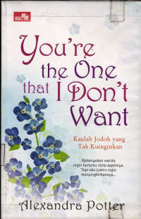 Image of You're The One That I Don't Want; Kaulah jodoh yang tak kuinginkan