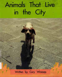 Image of Animals That Live in the City