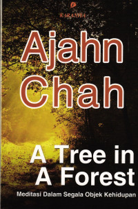 Image of A Tree in a Forest