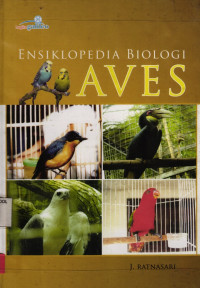 Image of Aves