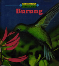 Image of Burung