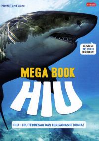 Image of Mega Book ; HIu