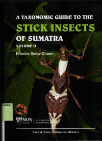Image of Stick Insects