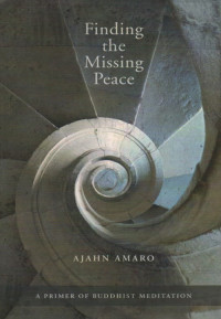 Image of Finding The Missing Peace