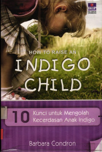 Image of How To Raise an Indigo Child