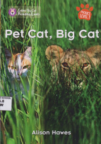 Image of Pet Cat, Big Cat