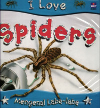 Image of Spiders