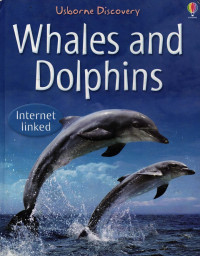Image of Whales and Dolphins